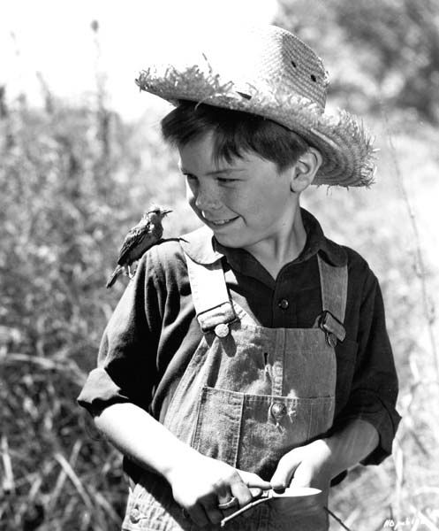 Bobby Driscoll [1937-68] Child Star of the '40s Image
