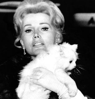 PUSSY Image