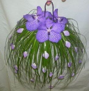 flowers Pictures, Images and Photos