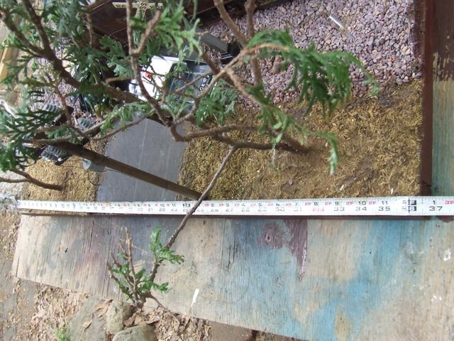 Captured%202015-5-26%2000009_zpsuo2yhw1p