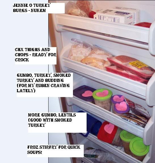 freezerdoor.jpg picture by brandilynnhealthjourney