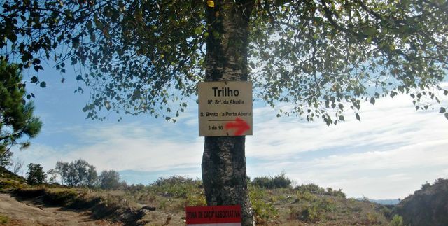  photo CIMG4066_zpsdij61usr.jpg