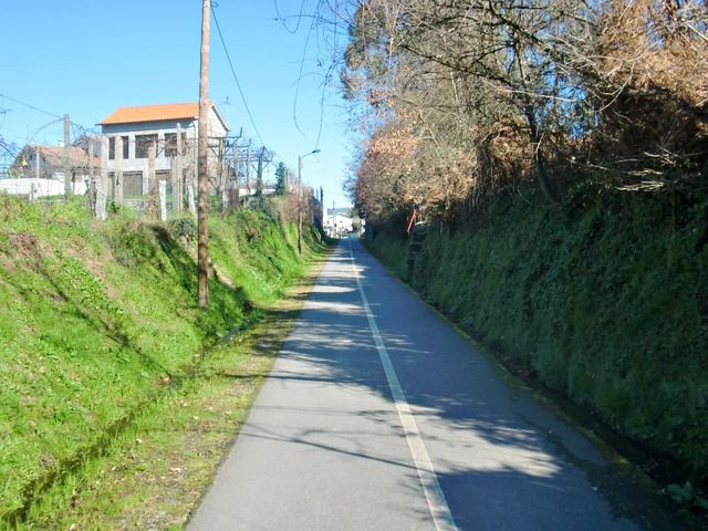 photo CIMG4272_zpsdatauvd4.jpg