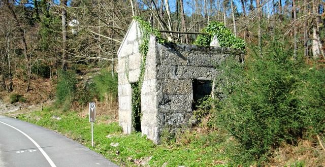 photo CIMG4292_zpsepo72th1.jpg