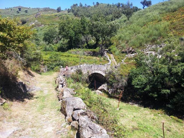 photo 20140824_134434_zpsf7f6ae4e.jpg