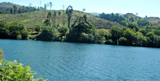 photo CIMG1674_zps3e5873c5.jpg