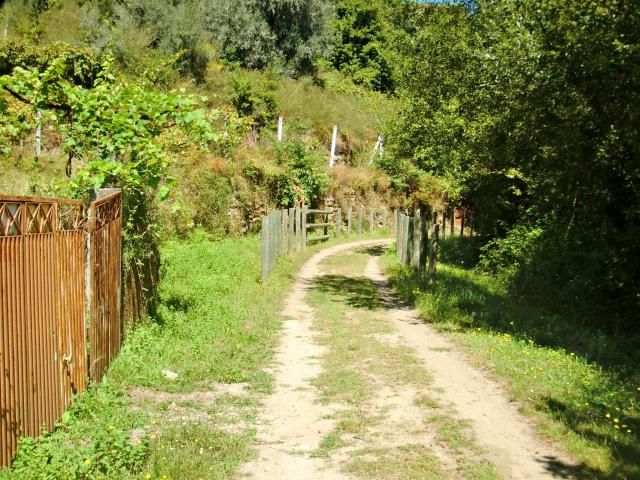 photo CIMG1689_zps2252f3e6.jpg