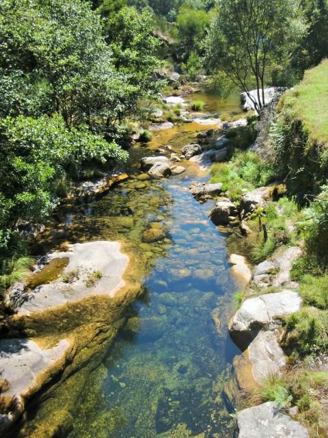 photo CIMG1728_zps5cf7a4c7.jpg