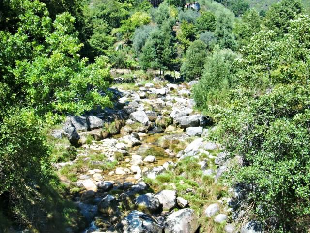 photo CIMG1729_zps891daa85.jpg