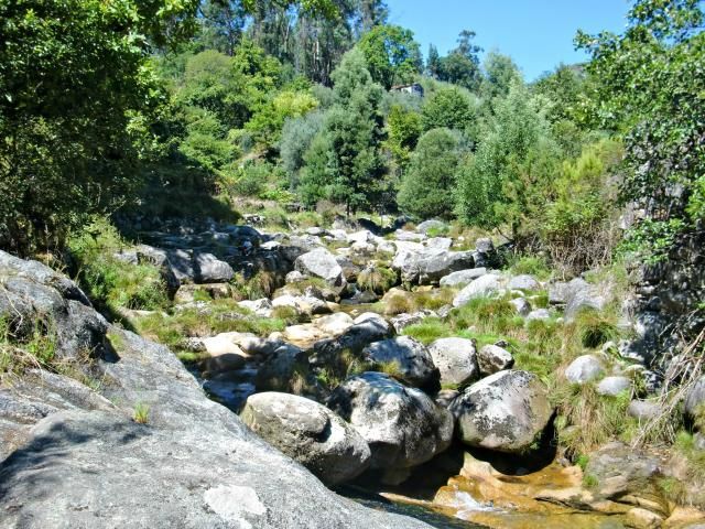 photo CIMG1730_zps7e52c1bf.jpg