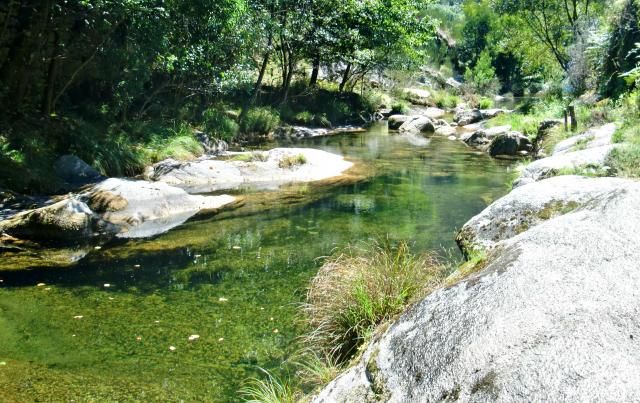 photo CIMG1732_zps8aaf7c74.jpg