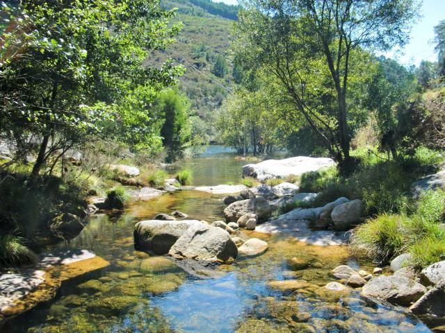 photo CIMG1738_zps59f93ebc.jpg