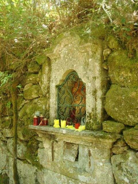 photo CIMG1752_zps41d10a96.jpg