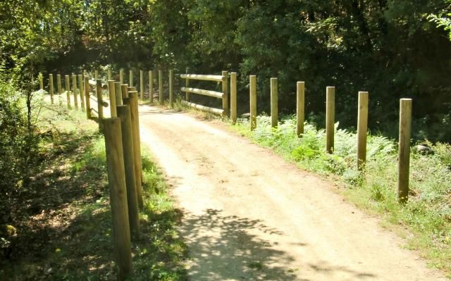 photo CIMG1767_zps221a49a3.jpg