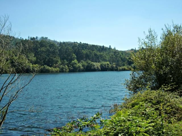 photo CIMG1775_zps4a3e133c.jpg