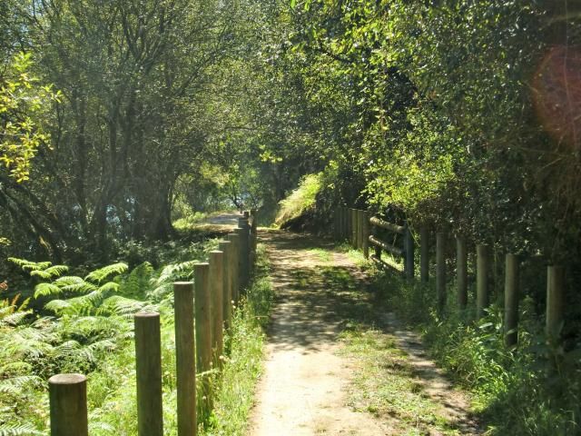 photo CIMG1780_zps1b893da9.jpg