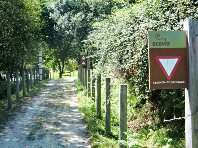 photo CIMG1783_zps9002a8de.jpg