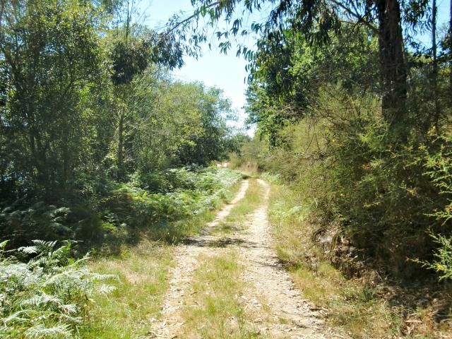 photo CIMG1803_zps9cd635e9.jpg