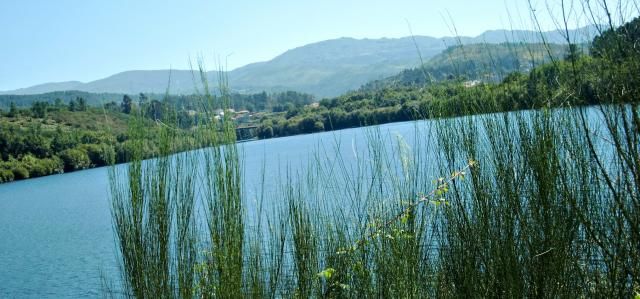 photo CIMG1817_zps95ad60fd.jpg