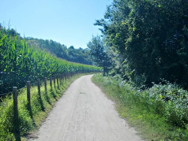  photo CIMG1866_zpsc0f791be.jpg