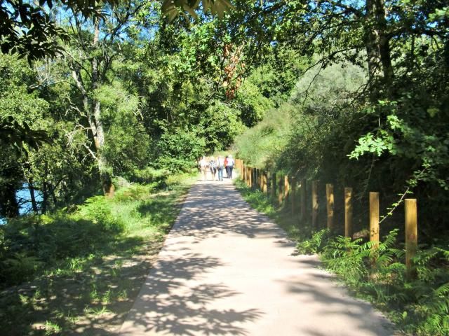  photo CIMG1877_zpsefb7d5a1.jpg