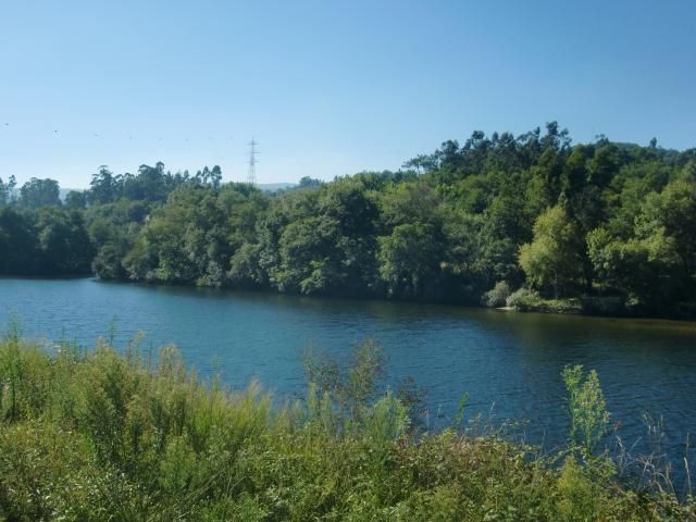  photo CIMG1883_zpsc704e955.jpg