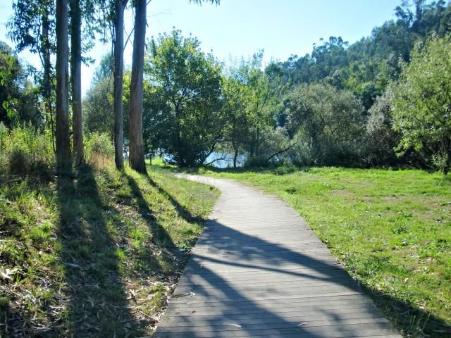  photo CIMG1885_zps6a9274ef.jpg