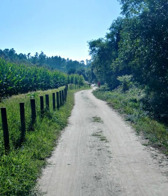  photo CIMG1889_zps2f438e6f.jpg