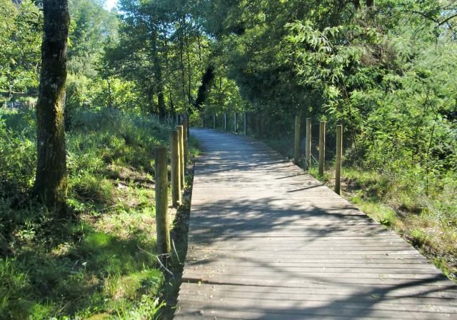  photo CIMG1902_zpsf456bfd4.jpg