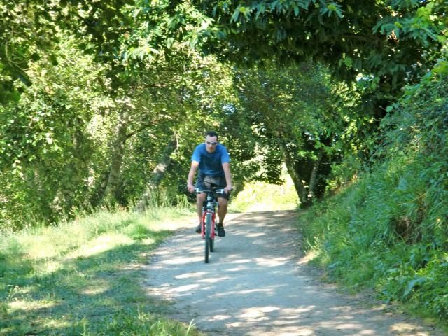  photo CIMG1910_zps8c45c5fd.jpg