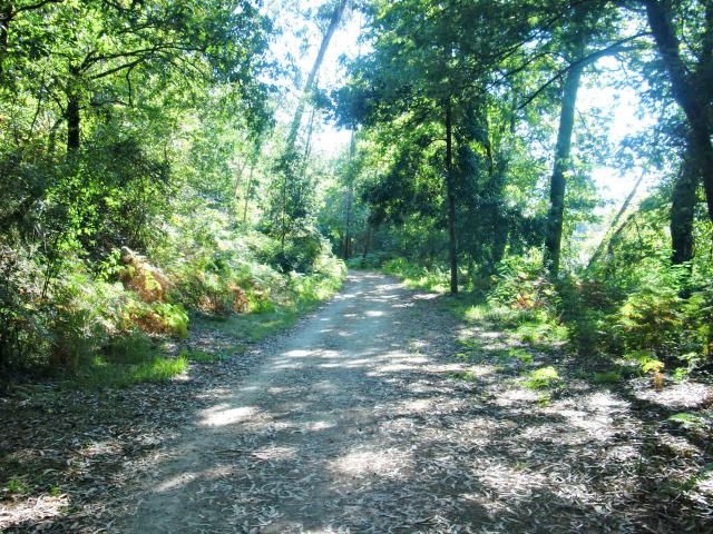  photo CIMG1914_zps0c8243f5.jpg