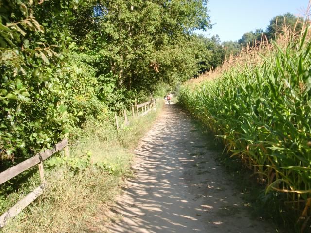  photo CIMG1924_zpsad9d4e31.jpg