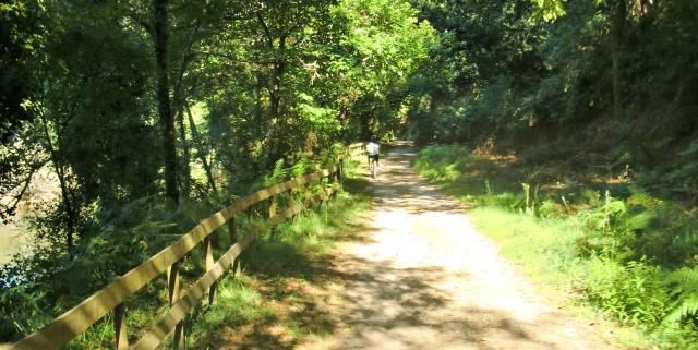  photo CIMG1926_zps71cbc230.jpg