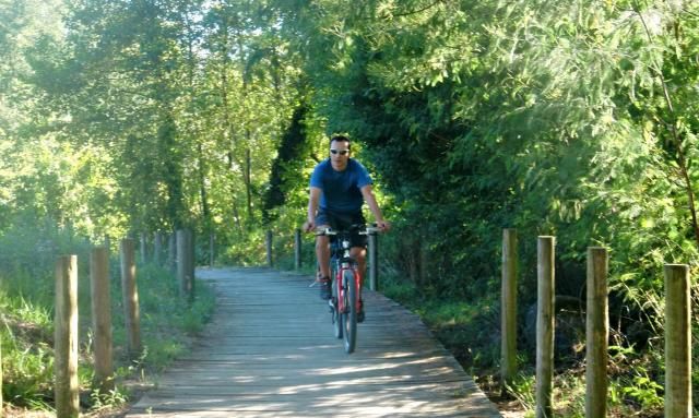  photo CIMG1942_zpscfdfd086.jpg