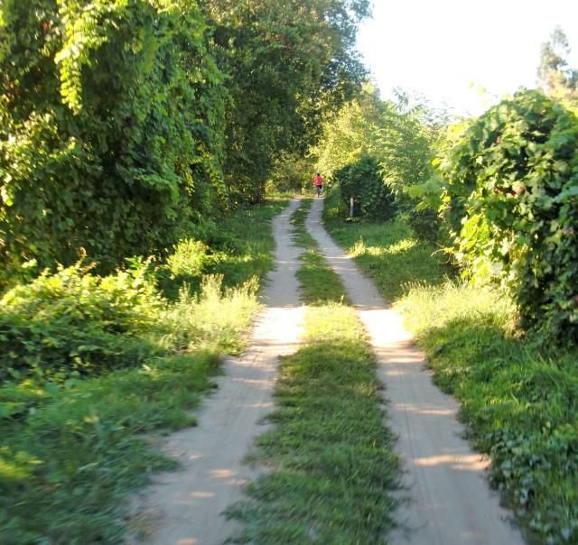  photo CIMG1952_zps4fc8a417.jpg