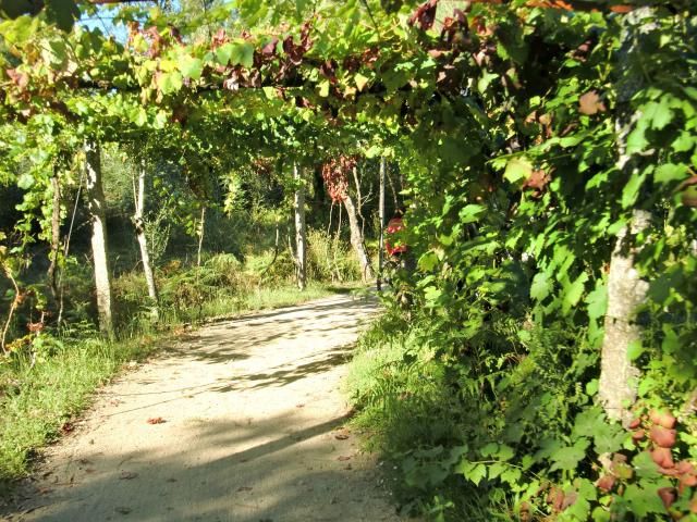  photo CIMG1953_zpsacfdee50.jpg