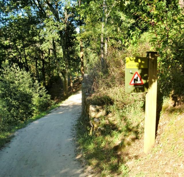  photo CIMG1955_zps9cb6dadc.jpg