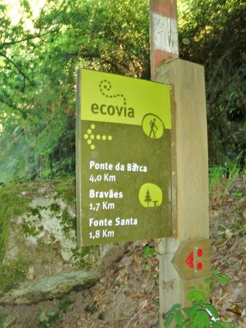  photo CIMG1956_zps14b0059f.jpg