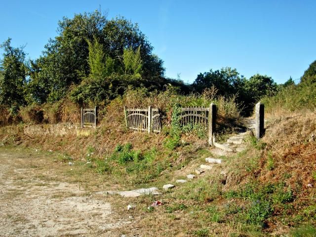 photo CIMG2289_zps6aed78e6.jpg