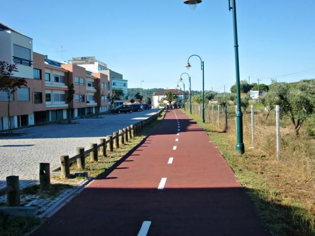 photo CIMG2300_zps053d6f63.jpg