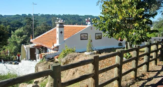 photo CIMG2305_zps2f70a8de.jpg