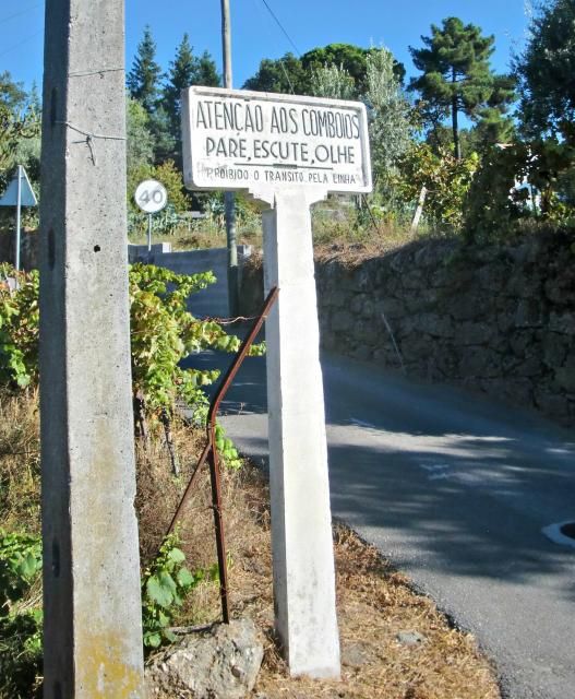 photo CIMG2310_zps4e46eb5f.jpg