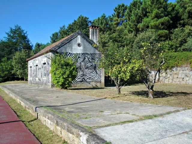 photo CIMG2320_zps67fb7d45.jpg