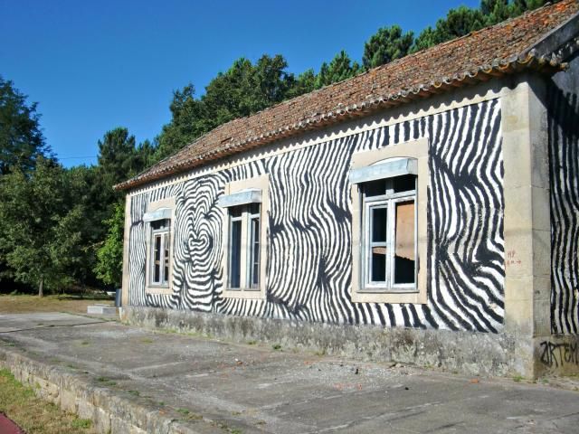 photo CIMG2321_zps2dd5512a.jpg