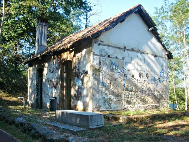 photo CIMG2340_zps4874a3ad.jpg