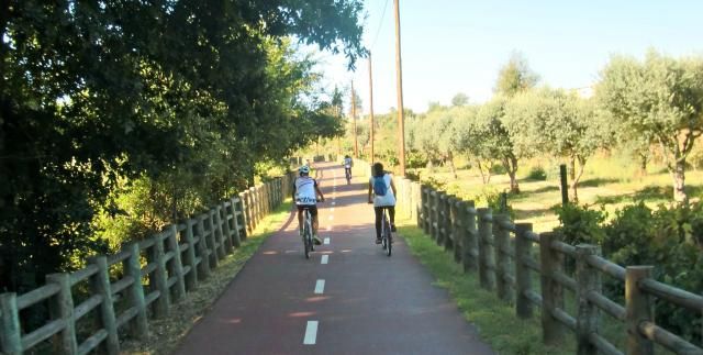 photo CIMG2355_zps7ab19f00.jpg