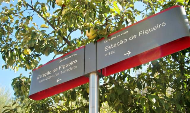 photo CIMG2366_zpse4b3cedb.jpg