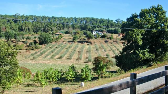 photo CIMG2389_zps6ccf2baf.jpg