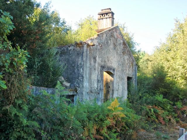 photo CIMG2390_zpseb12fd21.jpg