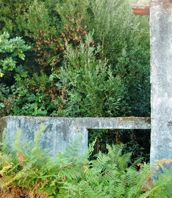 photo CIMG2392_zps3f4135f7.jpg